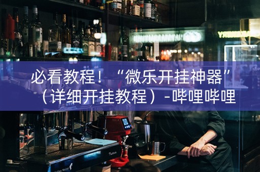 必看教程！“微乐开挂神器”（详细开挂教程）-哔哩哔哩