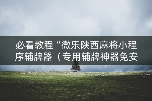 必看教程“微乐陕西麻将小程序辅牌器（专用辅牌神器免安装）