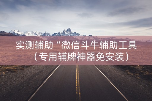 实测辅助“微信斗牛辅助工具（专用辅牌神器免安装）