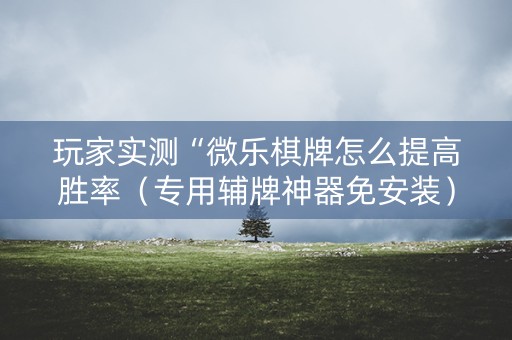 玩家实测“微乐棋牌怎么提高胜率（专用辅牌神器免安装）
