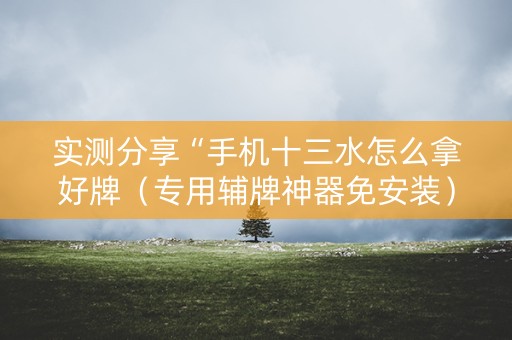 实测分享“手机十三水怎么拿好牌（专用辅牌神器免安装）