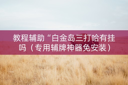 教程辅助“白金岛三打哈有挂吗（专用辅牌神器免安装）