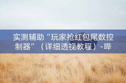 实测辅助“玩家抢红包尾数控制器”（详细透视教程）-哔哩哔哩