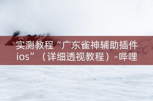 实测教程“广东雀神辅助插件ios”（详细透视教程）-哔哩哔哩