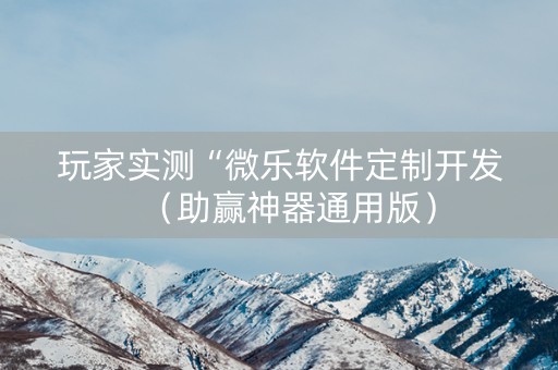 玩家实测“微乐软件定制开发（助赢神器通用版）