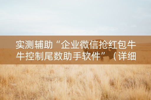 实测辅助“企业微信抢红包牛牛控制尾数助手软件”（详细透视教程）-哔哩哔哩