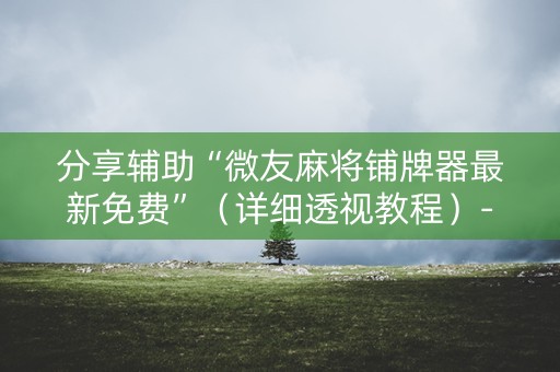 分享辅助“微友麻将铺牌器最新免费”（详细透视教程）-哔哩哔哩
