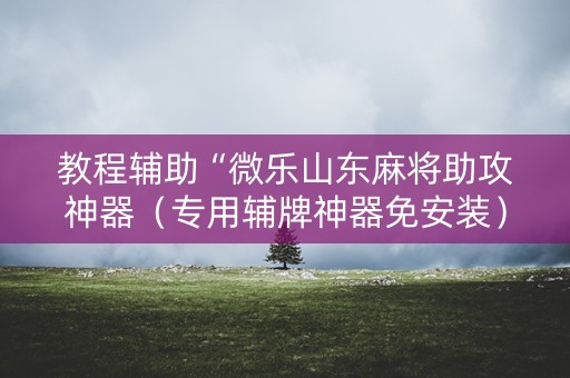 教程辅助“微乐山东麻将助攻神器（专用辅牌神器免安装）
