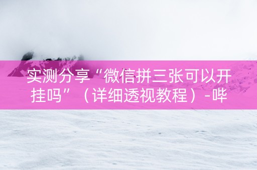 实测分享“微信拼三张可以开挂吗”（详细透视教程）-哔哩哔哩