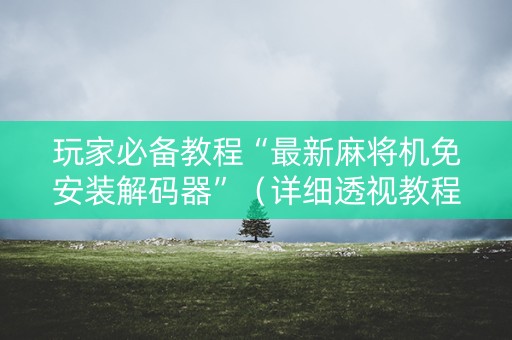 玩家必备教程“最新麻将机免安装解码器”（详细透视教程）-哔哩哔哩
