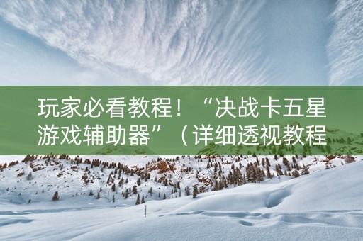 玩家必看教程！“决战卡五星游戏辅助器”（详细透视教程）-哔哩哔哩