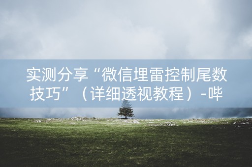 实测分享“微信埋雷控制尾数技巧”（详细透视教程）-哔哩哔哩