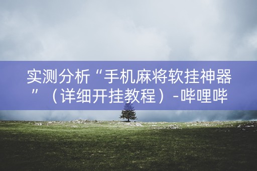 实测分析“手机麻将软挂神器”（详细开挂教程）-哔哩哔哩