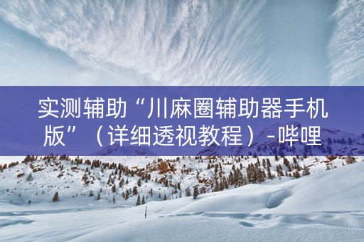 实测辅助“川麻圈辅助器手机版”（详细透视教程）-哔哩哔哩