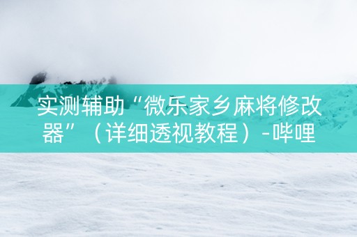 实测辅助“微乐家乡麻将修改器”（详细透视教程）-哔哩哔哩