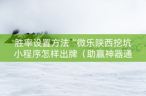 胜率设置方法“微乐陕西挖坑小程序怎样出牌（助赢神器通用版）