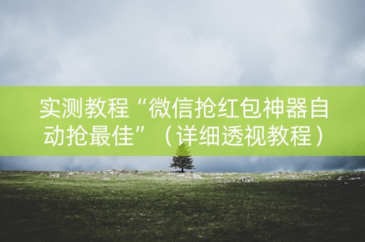 实测教程“微信抢红包神器自动抢最佳”（详细透视教程）-哔哩哔哩