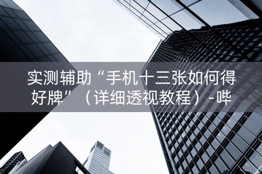 实测辅助“手机十三张如何得好牌”（详细透视教程）-哔哩哔哩