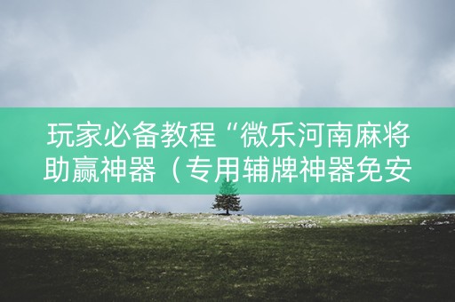 玩家必备教程“微乐河南麻将助赢神器（专用辅牌神器免安装）