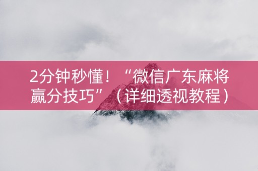 2分钟秒懂！“微信广东麻将赢分技巧”（详细透视教程）-哔哩哔哩