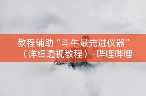教程辅助“斗牛最先进仪器”（详细透视教程）-哔哩哔哩