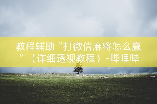 教程辅助“打微信麻将怎么赢”（详细透视教程）-哔哩哔哩