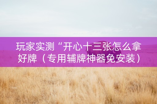 玩家实测“开心十三张怎么拿好牌（专用辅牌神器免安装）