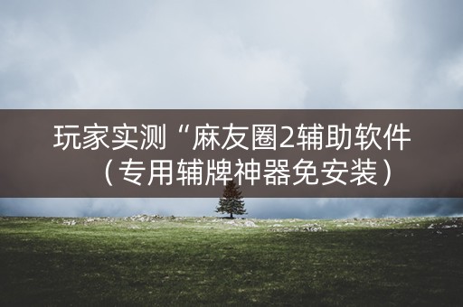 玩家实测“麻友圈2辅助软件（专用辅牌神器免安装）