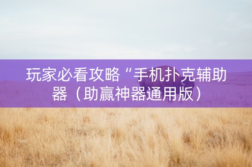 玩家必看攻略“手机扑克辅助器（助赢神器通用版）