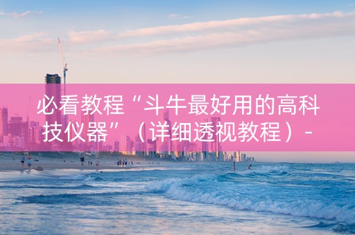 必看教程“斗牛最好用的高科技仪器”（详细透视教程）-哔哩哔哩