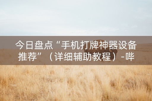 今日盘点“手机打牌神器设备推荐”（详细辅助教程）-哔哩哔哩