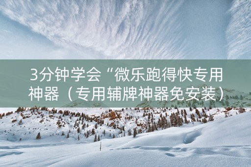 3分钟学会“微乐跑得快专用神器（专用辅牌神器免安装）
