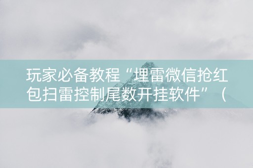 玩家必备教程“埋雷微信抢红包扫雷控制尾数开挂软件”（详细透视教程）-哔哩哔哩