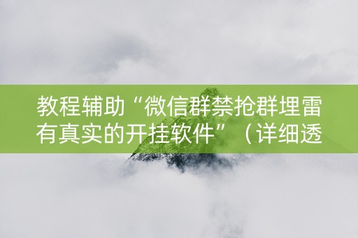 教程辅助“微信群禁抢群埋雷有真实的开挂软件”（详细透视教程）-哔哩哔哩