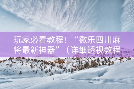 玩家必看教程！“微乐四川麻将最新神器”（详细透视教程）-哔哩哔哩