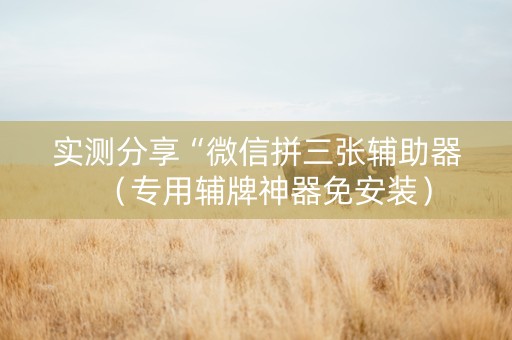 实测分享“微信拼三张辅助器（专用辅牌神器免安装）