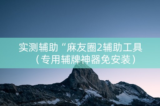 实测辅助“麻友圈2辅助工具（专用辅牌神器免安装）