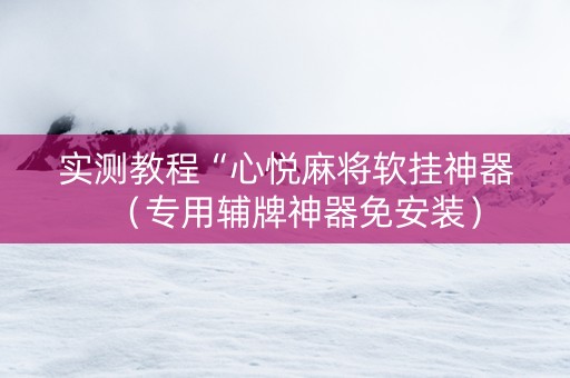 实测教程“心悦麻将软挂神器（专用辅牌神器免安装）