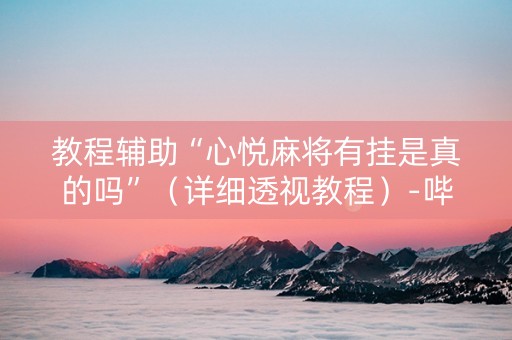 教程辅助“心悦麻将有挂是真的吗”（详细透视教程）-哔哩哔哩