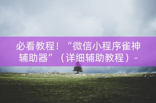 必看教程！“微信小程序雀神辅助器”（详细辅助教程）-哔哩哔哩