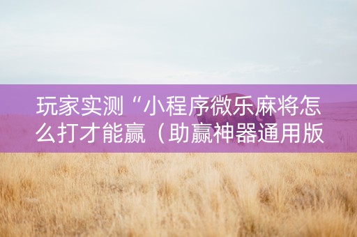 玩家实测“小程序微乐麻将怎么打才能赢（助赢神器通用版）