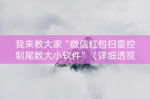 我来教大家“微信红包扫雷控制尾数大小软件”（详细透视教程）-哔哩哔哩