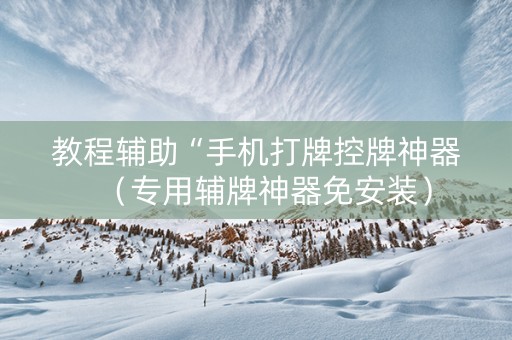教程辅助“手机打牌控牌神器（专用辅牌神器免安装）