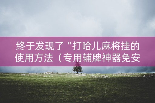 终于发现了“打哈儿麻将挂的使用方法（专用辅牌神器免安装）