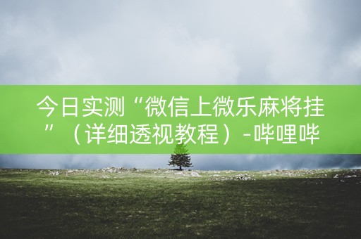 今日实测“微信上微乐麻将挂”（详细透视教程）-哔哩哔哩