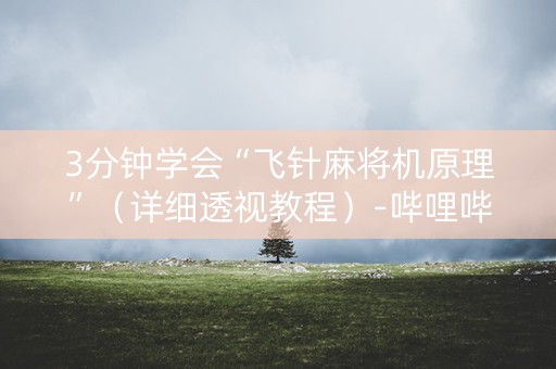 3分钟学会“飞针麻将机原理”（详细透视教程）-哔哩哔哩