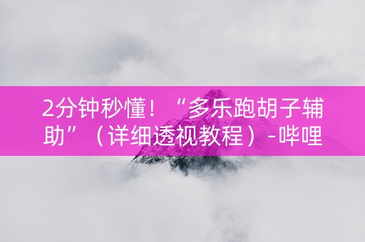 2分钟秒懂！“多乐跑胡子辅助”（详细透视教程）-哔哩哔哩