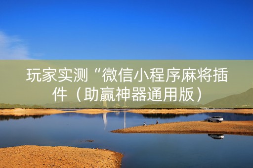 玩家实测“微信小程序麻将插件（助赢神器通用版）