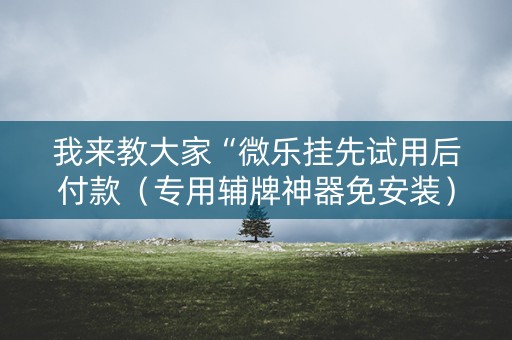 我来教大家“微乐挂先试用后付款（专用辅牌神器免安装）