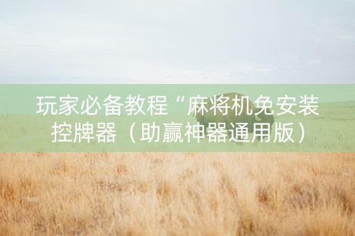 玩家必备教程“麻将机免安装控牌器（助赢神器通用版）